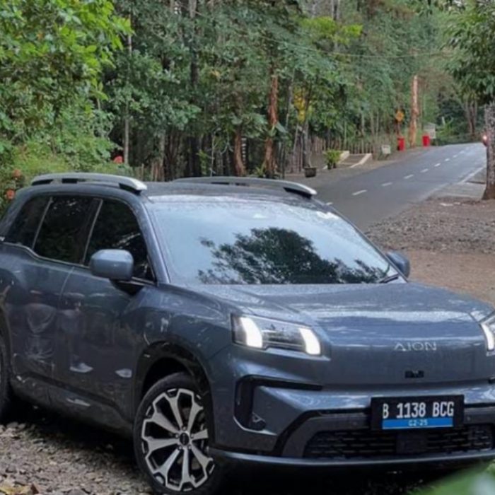 WhatsApp Image 2025-04-07 at 08.53.20 (1)